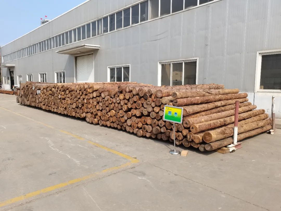 1603672446256935.jpg 4.jpg