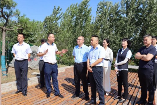 集团公司召开龙拱港项目融资调研暨可研编制研讨会