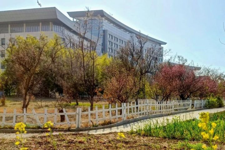 人间最美四月天丨安居煤矿：春意渐浓迷人眼