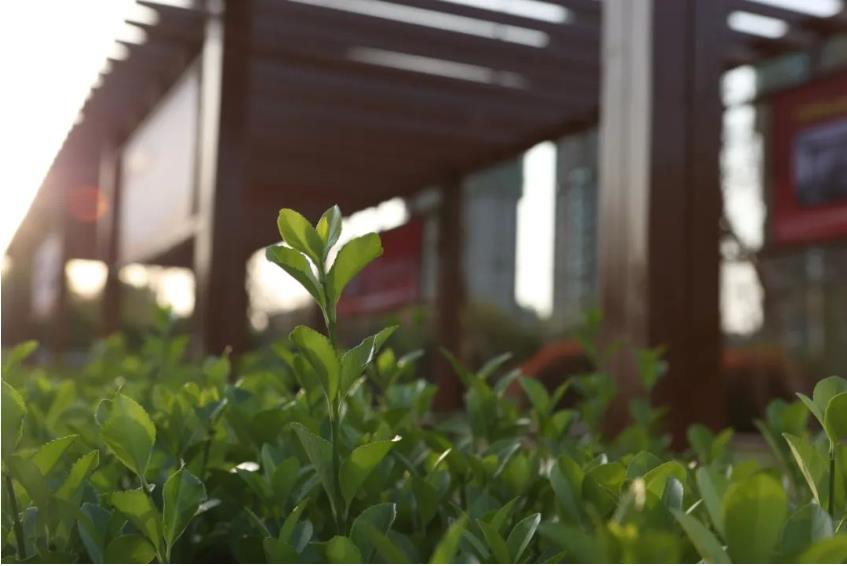 1681003696810751.jpg 微信截图_20230409092451.jpg