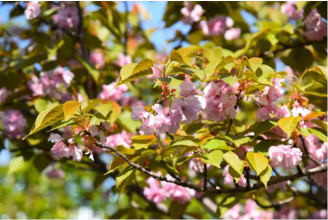 1682037563419717.jpg 微信截图_20230421083809.jpg