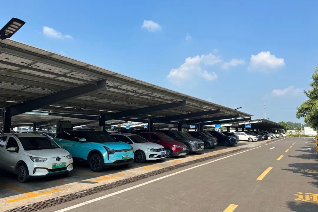 1693021243365554.jpg 640 (2).jpg