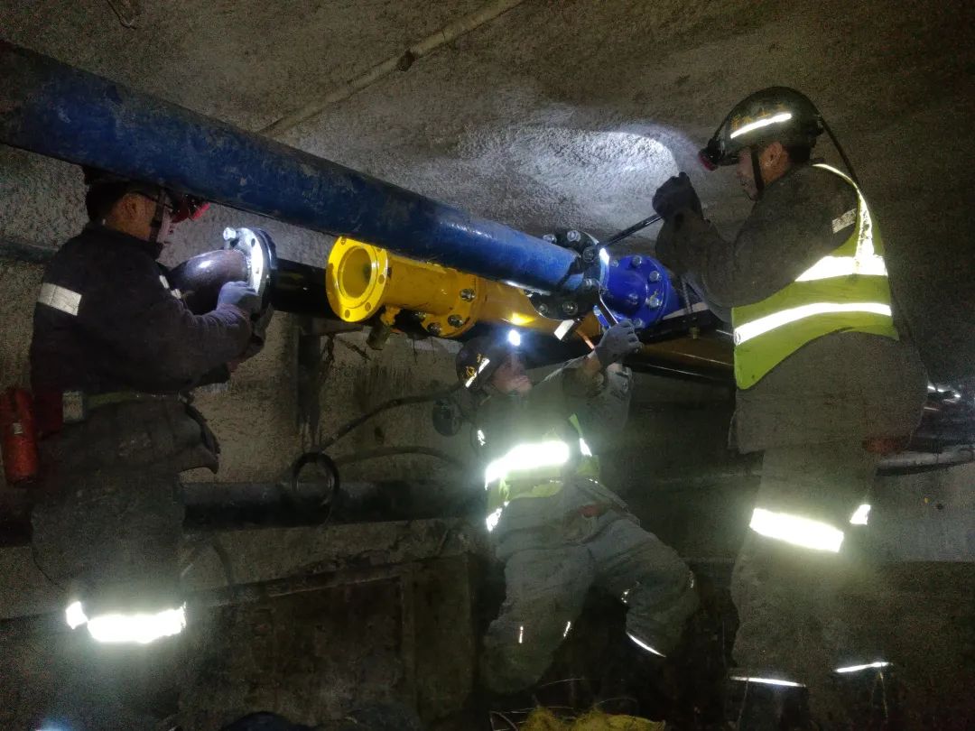 1706495018836279.jpg 5.jpg