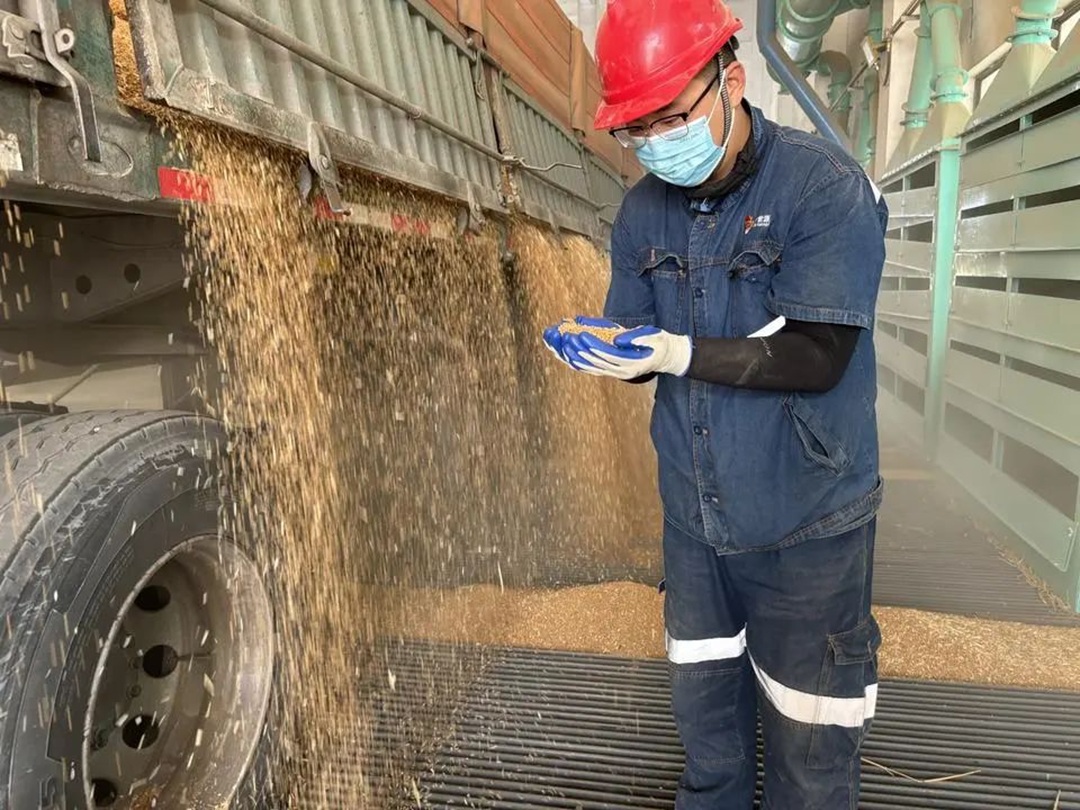 1751527652910638.jpg 04.jpg