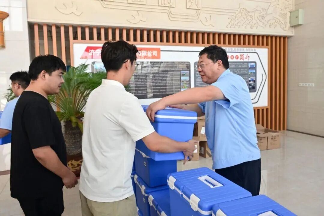 1757380272934176.jpg 0006.jpg