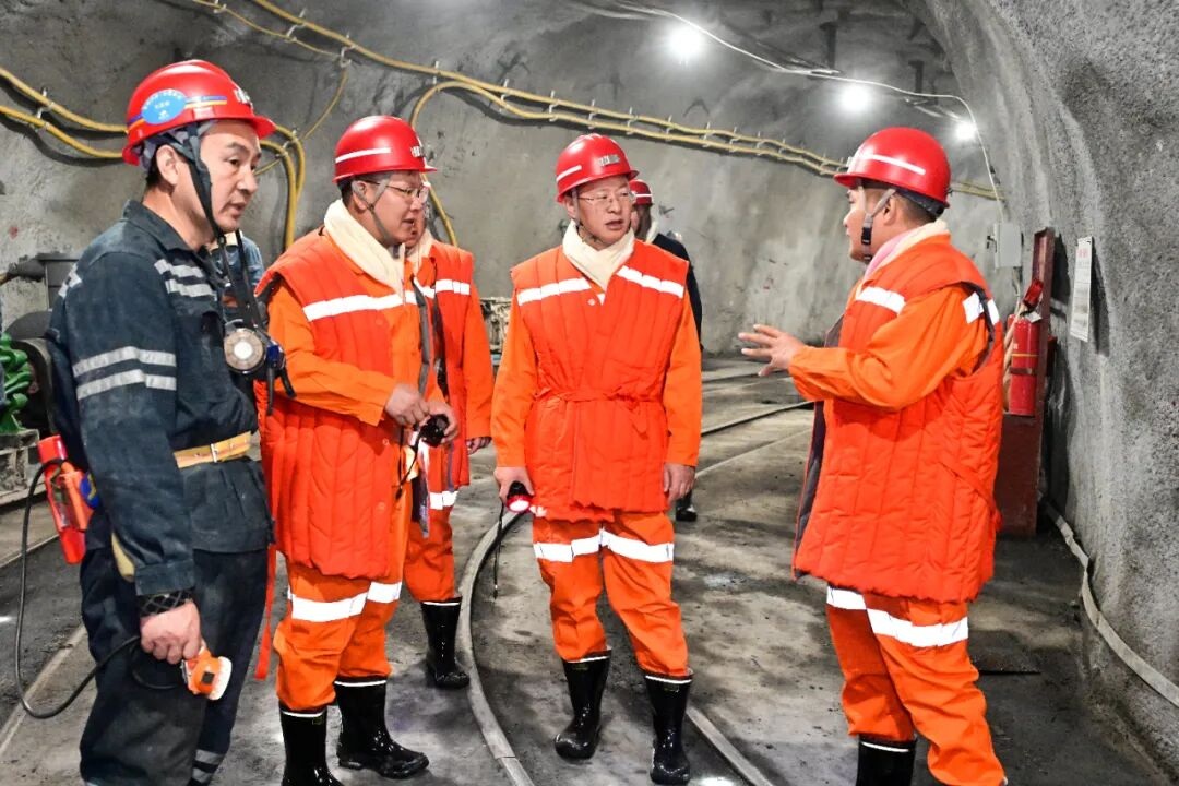 1764558971718716.jpg 02.jpg